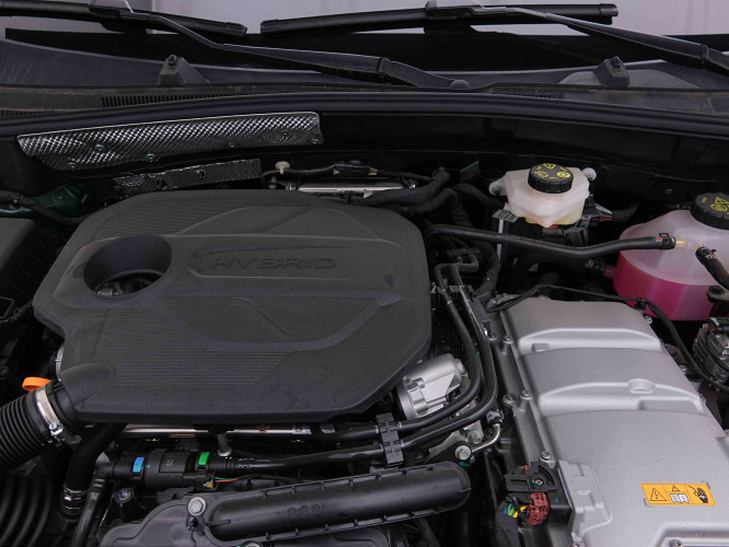 MG_MG_ZS_2654818_20.jpg