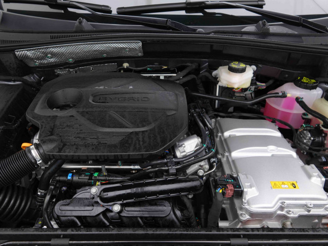 MG_MG_ZS_2654820_19.jpg