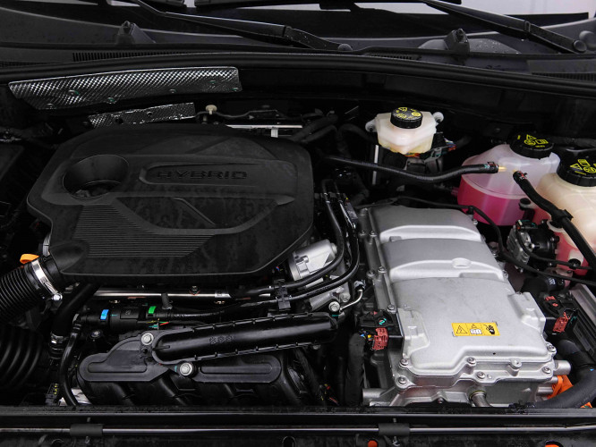 MG_MG_ZS_2654984_19.jpg