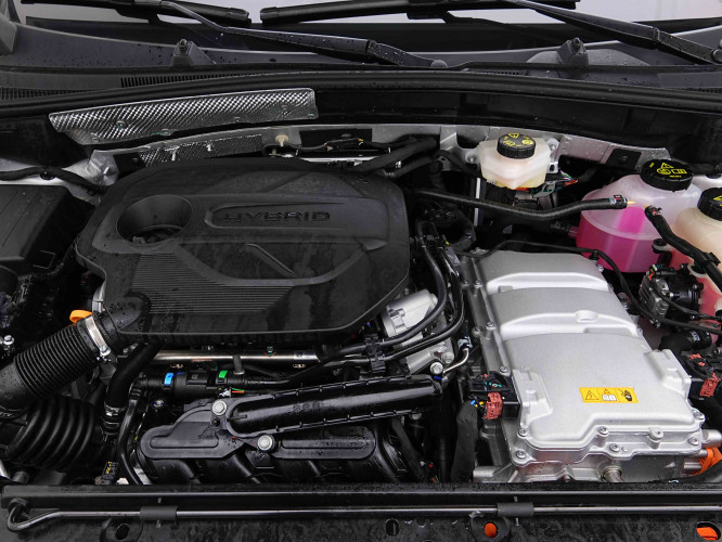 MG_MG_ZS_2654987_18.jpg MG_MG_ZS_2654987_18.jpg