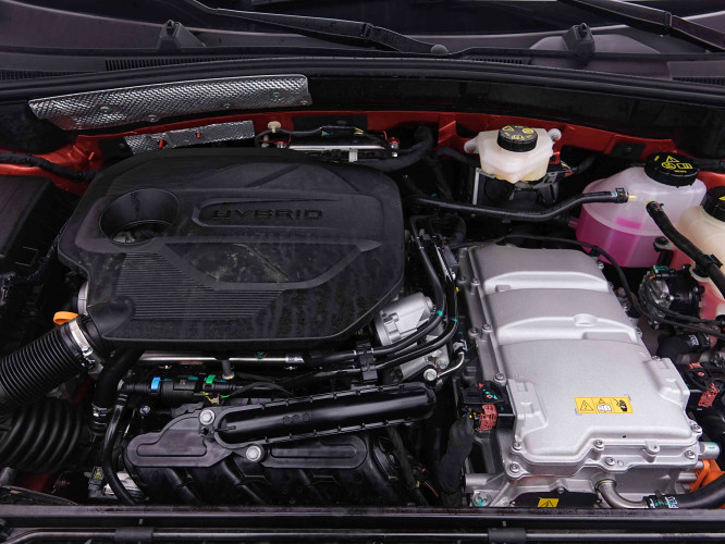 MG_MG_ZS_2654988_18.jpg