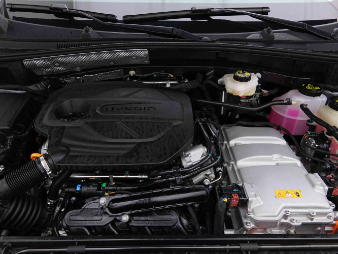 MG_MG_ZS_2654993_18.jpg