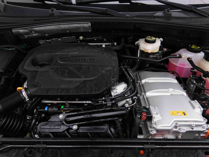 MG_MG_ZS_2654996_18.jpg MG_MG_ZS_2654996_18.jpg