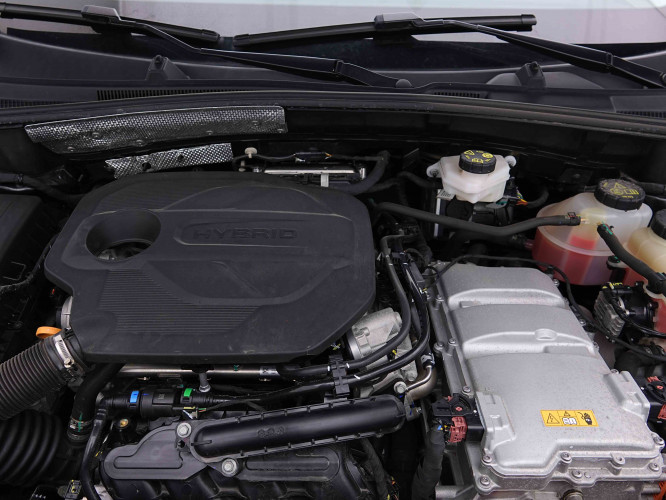 MG_MG_ZS_2655235_19.jpg MG_MG_ZS_2655235_19.jpg