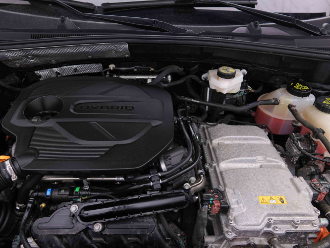 MG_MG_ZS_2655237_19.jpg