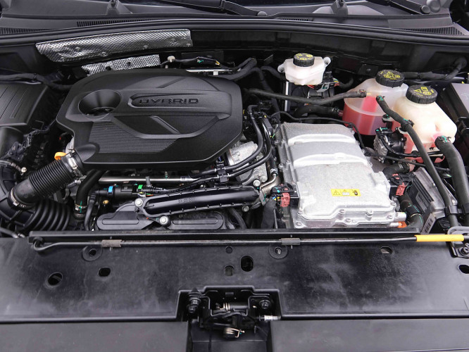 MG_MG_ZS_2655238_19.jpg