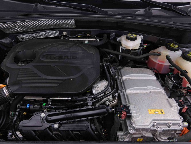 MG_MG_ZS_2655241_19.jpg MG_MG_ZS_2655241_19.jpg