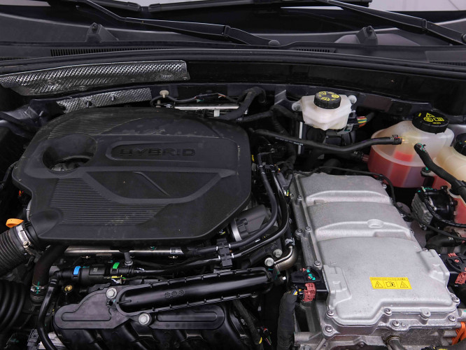 MG_MG_ZS_2655242_20.jpg MG_MG_ZS_2655242_20.jpg