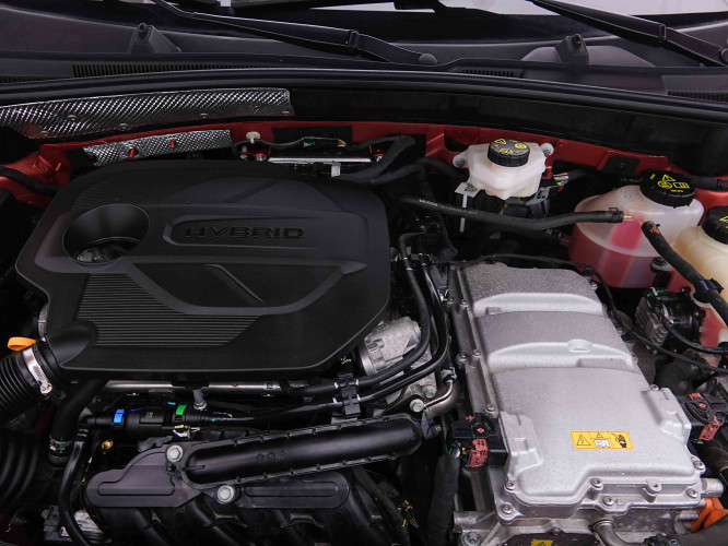 MG_MG_ZS_2655245_19.jpg