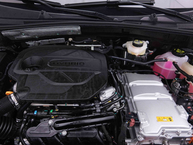 MG_MG_ZS_2655396_18.jpg