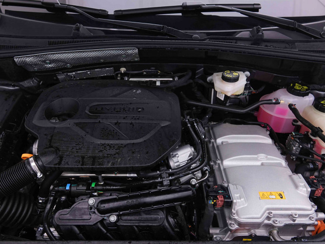 MG_MG_ZS_2655397_18.jpg