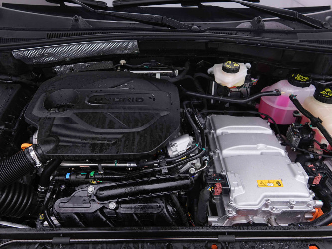 MG_MG_ZS_2655434_21.jpg
