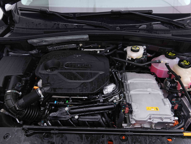 MG_MG_ZS_2655443_18.jpg