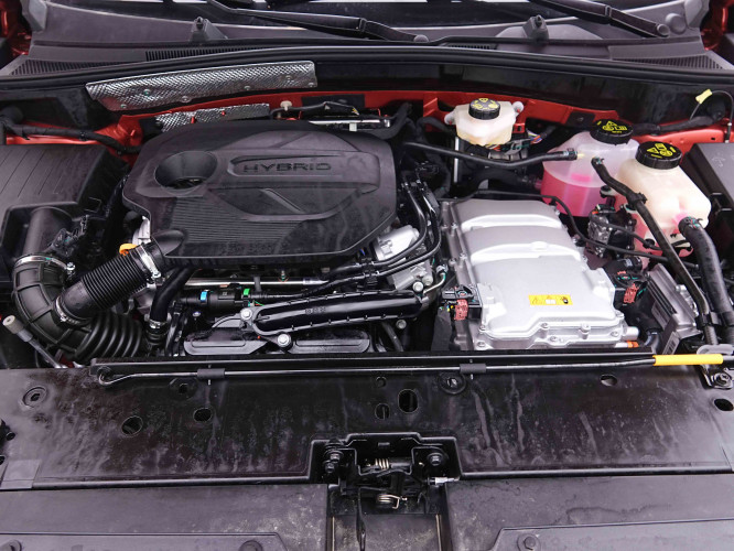 MG_MG_ZS_2655446_22.jpg