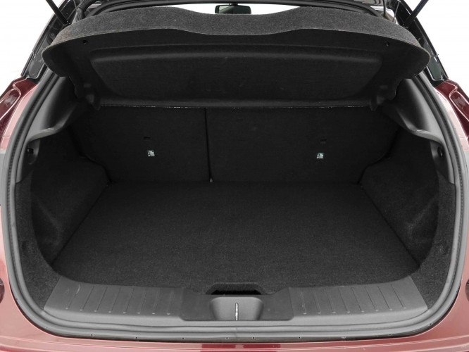 NISSAN_NISSAN_JUKE_2654421_5.jpg