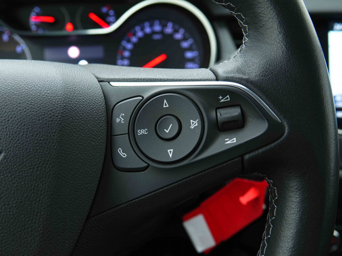 OPEL_OPEL_CROSSLAND_2654197_19.jpg