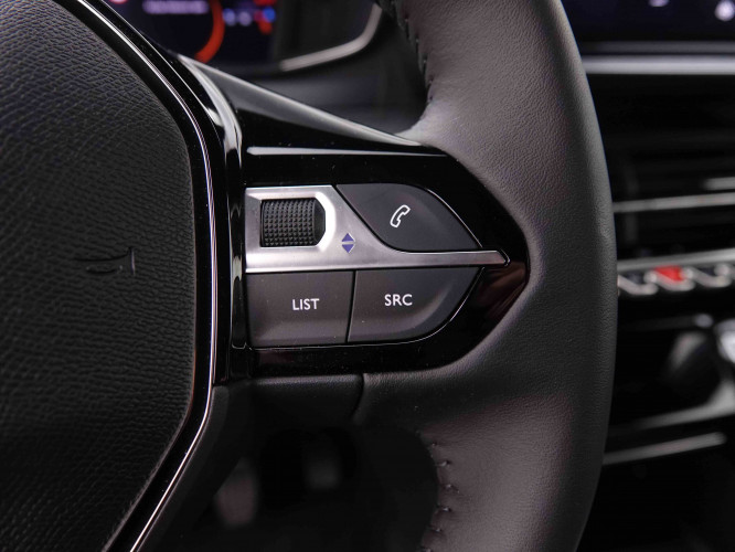 PEUGEOT_PEUGEOT_2008_2547559_19.jpg