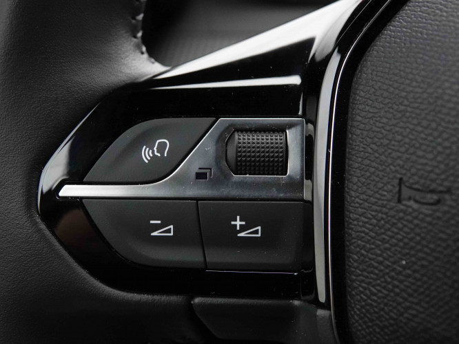 PEUGEOT_PEUGEOT_2008_2651920_19.jpg