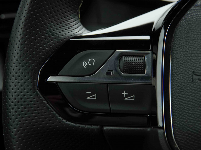 PEUGEOT_PEUGEOT_2008_2653617_19.jpg