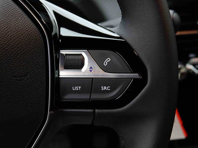 PEUGEOT_PEUGEOT_2008_2655796_19.jpg