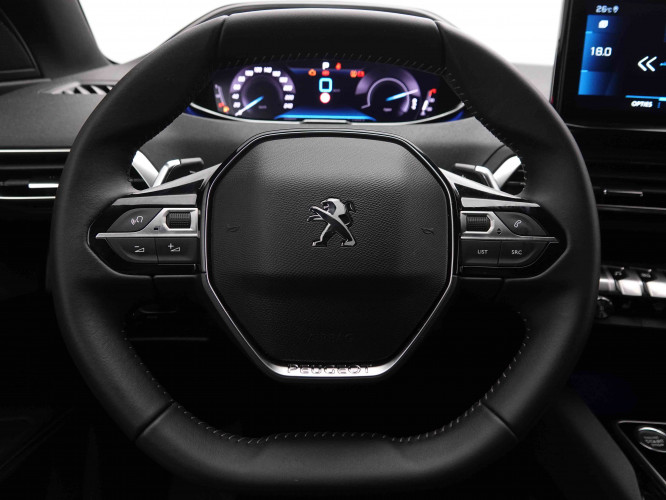 PEUGEOT_PEUGEOT_3008_2548905_8.jpg