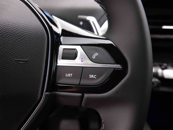 PEUGEOT_PEUGEOT_3008_2549031_17.jpg