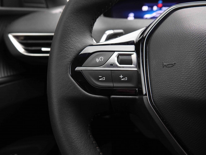 PEUGEOT_PEUGEOT_3008_2549521_20.jpg