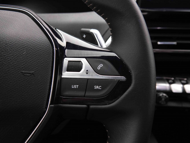 PEUGEOT_PEUGEOT_3008_2549527_20.jpg