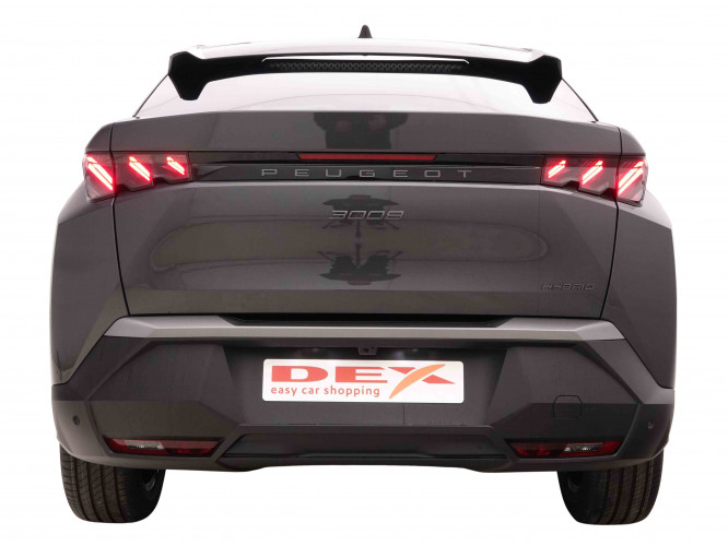 PEUGEOT_PEUGEOT_3008_2651946_4.jpg