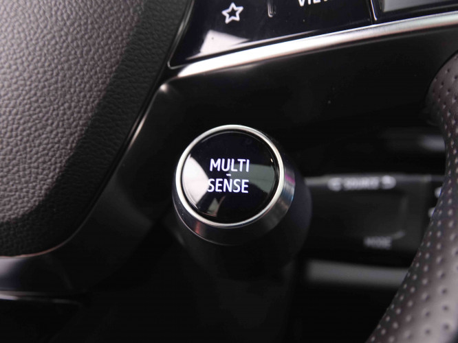 RENAULT_RENAULT_AUSTRAL_2547370_20.jpg