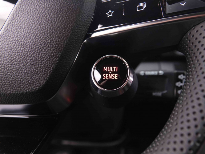 RENAULT_RENAULT_MEGANE_2548396_20.jpg