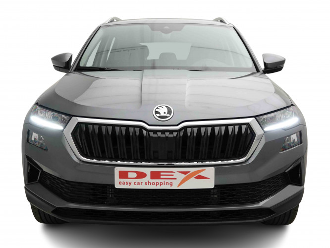 SKODA_SKODA_KAROQ_2653511_1.jpg