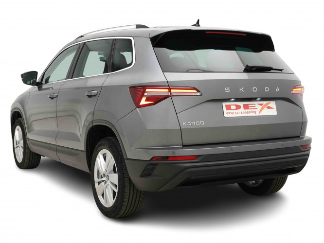 SKODA_SKODA_KAROQ_2653511_3.jpg