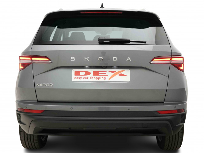 SKODA_SKODA_KAROQ_2653511_4.jpg