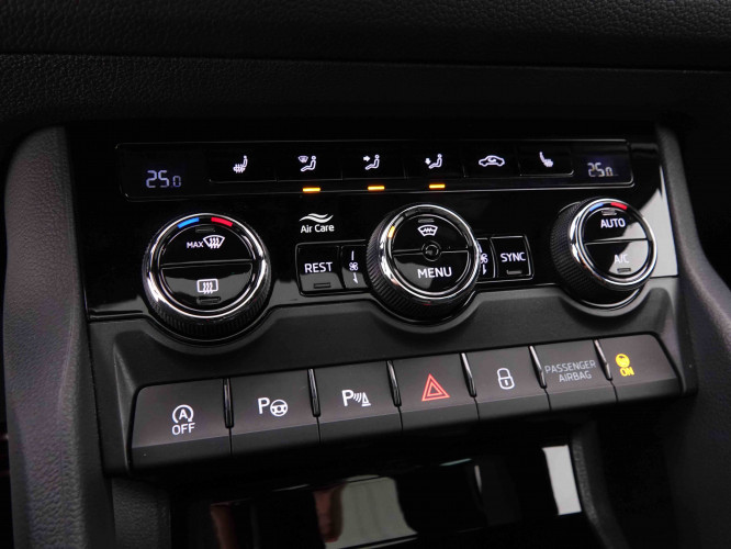 SKODA_SKODA_KODIAQ_2548425_17.jpg