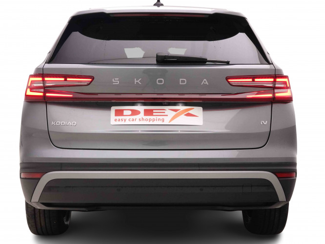 SKODA_SKODA_KODIAQ_2551710_4.jpg