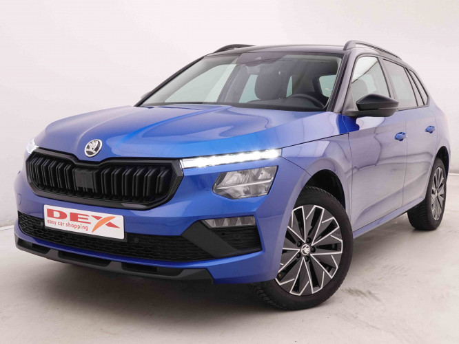 VOLKSWAGEN_VOLKSWAGEN_PASSATVAR_2548432_30.jpg